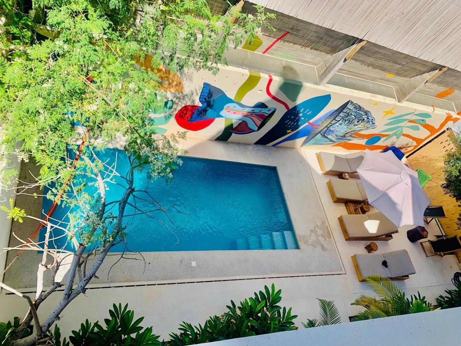 Casa Borka Apartment Puerto Escondido  Exterior photo